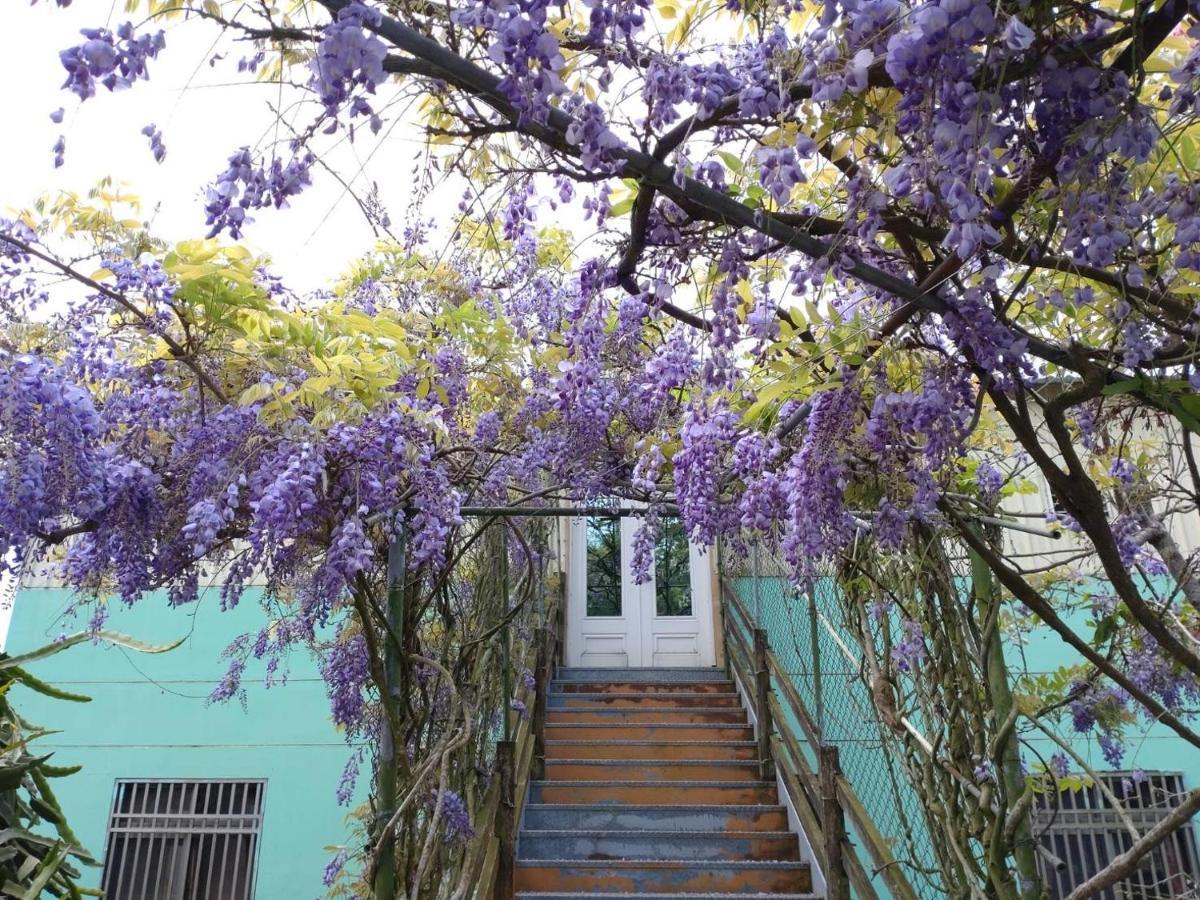 Youlin Homestay Meishan Exterior foto